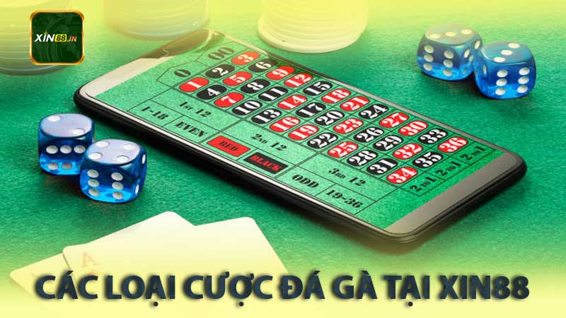 các loại cược đá gà tại xin88