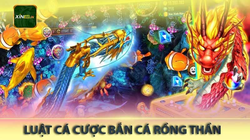 luật cá cược bắn cá rồng thần